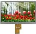 WF70ATIBGDA#000 - WİNSTAR 7'' Touch Screen LCD