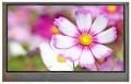 WF43BTIBD0#020 - 4,3 INCH TFT